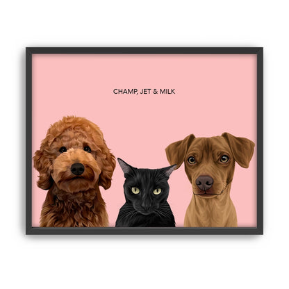 Three Pet Portrait