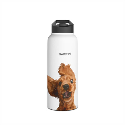 Stainless Steel Water Bottle